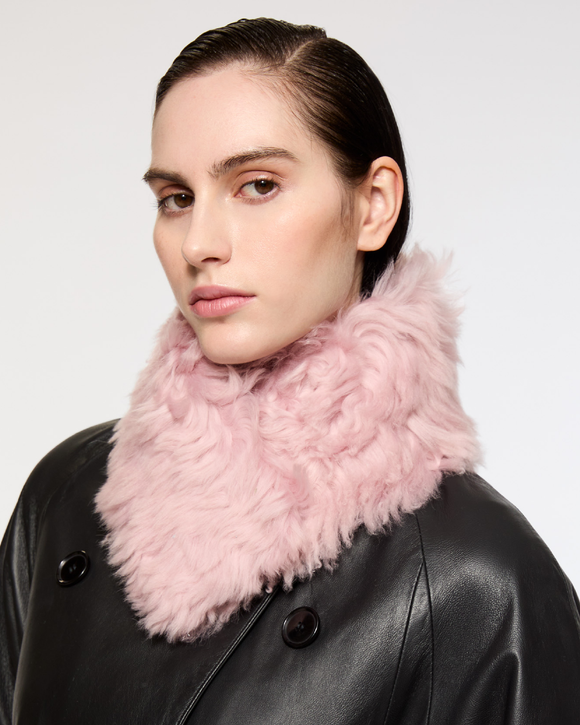 Shop Collars